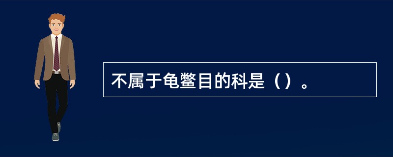 不属于龟鳖目的科是（）。