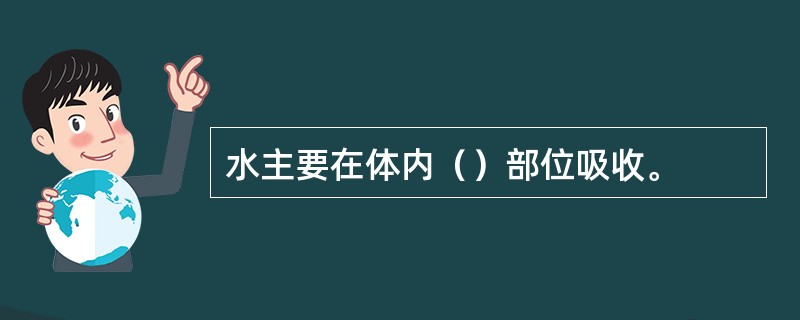 水主要在体内（）部位吸收。