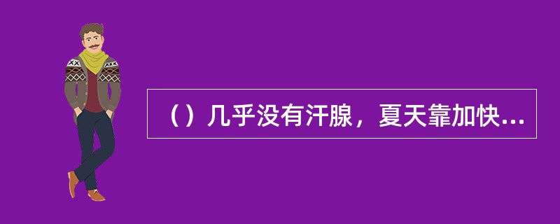 （）几乎没有汗腺，夏天靠加快呼吸来散热。