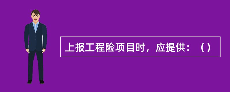 上报工程险项目时，应提供：（）