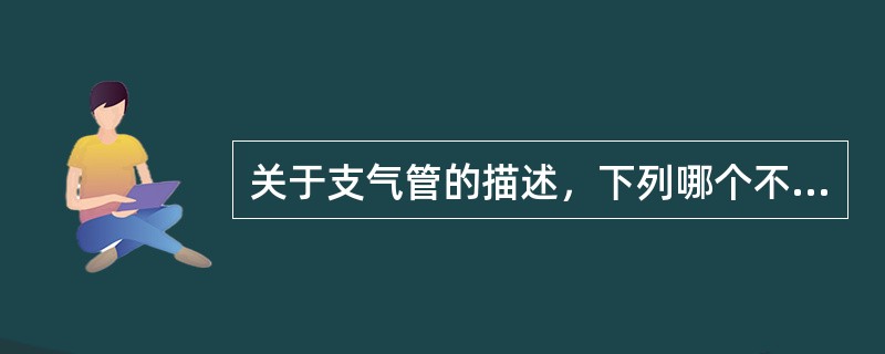 关于支气管的描述，下列哪个不对（）。