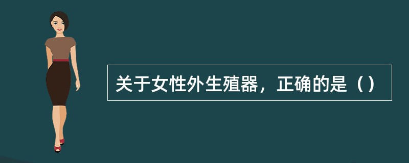 关于女性外生殖器，正确的是（）