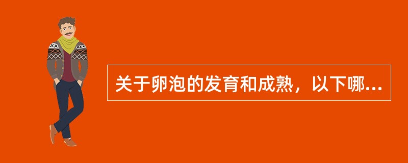 关于卵泡的发育和成熟，以下哪些是恰当的（）