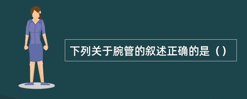 下列关于腕管的叙述正确的是（）