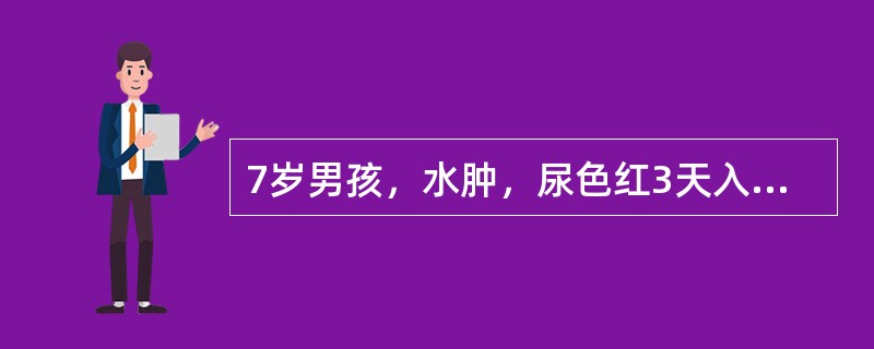 7岁男孩，水肿，尿色红3天入院，查体：颜面眼睑水肿，心肺听诊无异常，尿常规有红细