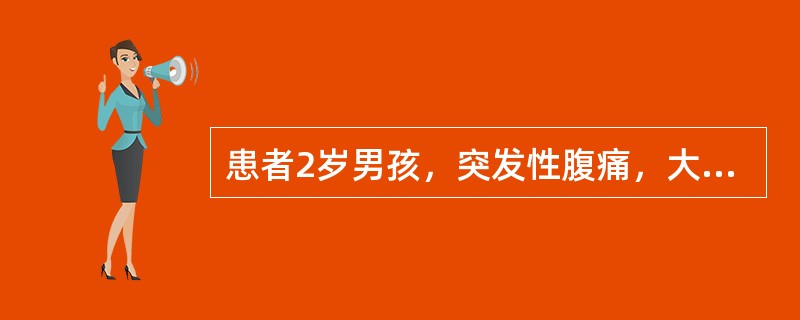 患者2岁男孩，突发性腹痛，大便带血，腹部可触及包块，包块处探及多层强弱回声团，呈