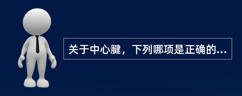 关于中心腱，下列哪项是正确的（）