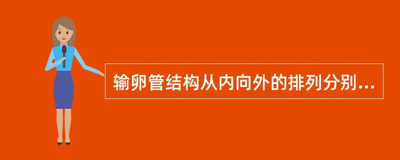 输卵管结构从内向外的排列分别为（）