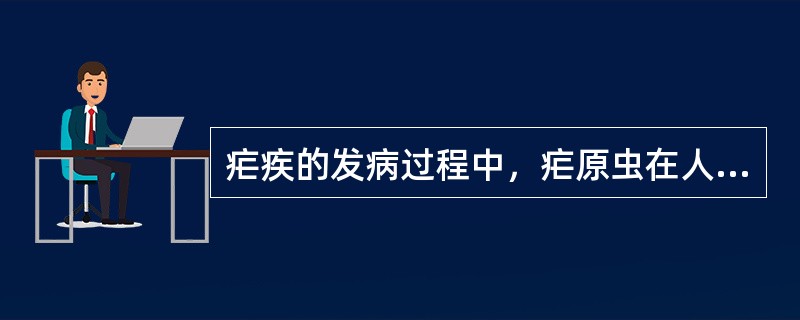疟疾的发病过程中，疟原虫在人体内分为（）