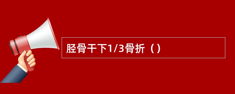 胫骨干下1/3骨折（）