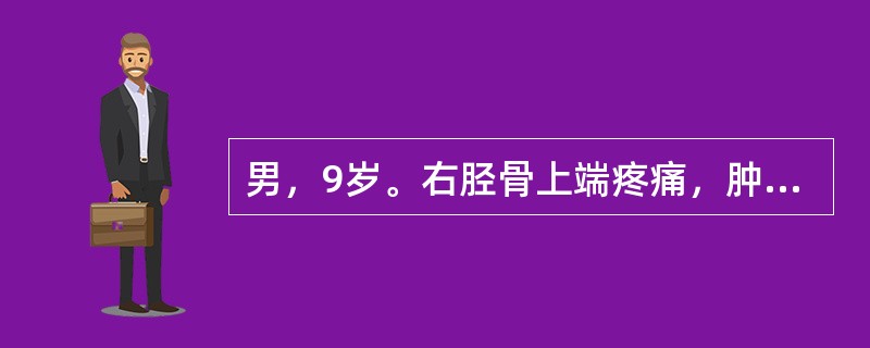 男，9岁。右胫骨上端疼痛，肿胀，压痛，关节活动受限。X线检查：右胫骨上端骨密度增