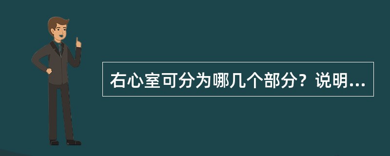 右心室可分为哪几个部分？说明其位置及入口和出口。