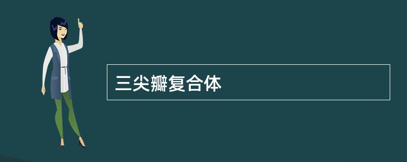 三尖瓣复合体