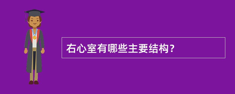 右心室有哪些主要结构？