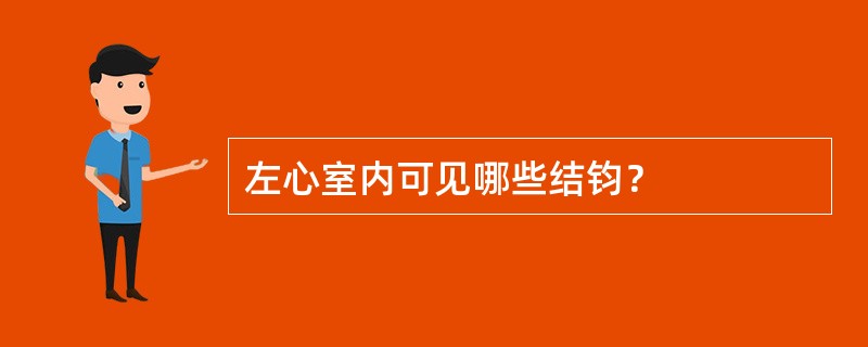 左心室内可见哪些结钧？