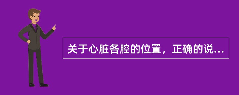 关于心脏各腔的位置，正确的说法是（）