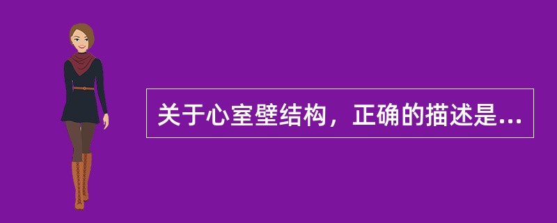 关于心室壁结构，正确的描述是（）