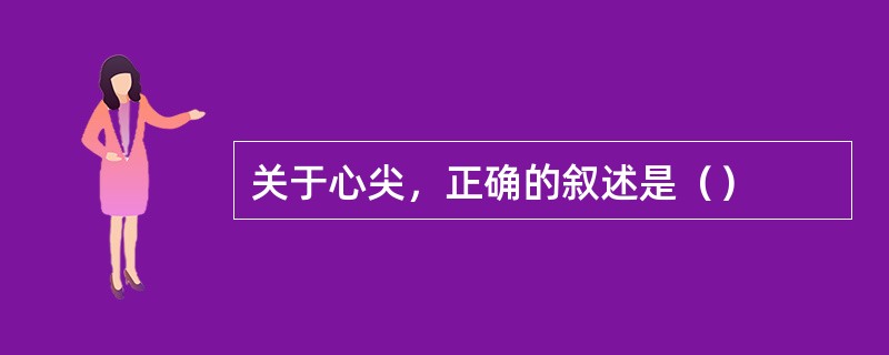 关于心尖，正确的叙述是（）