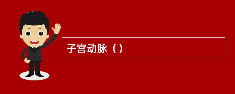 子宫动脉（）