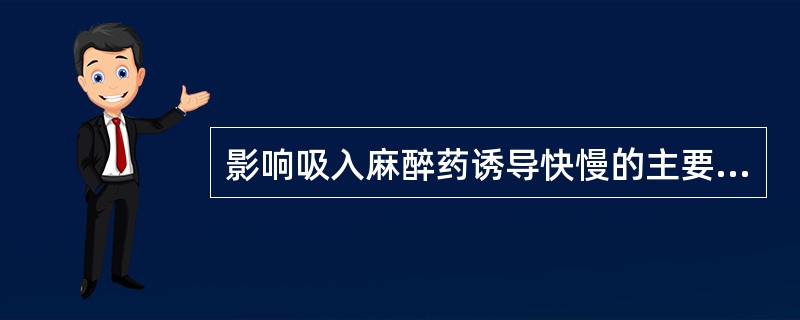 影响吸入麻醉药诱导快慢的主要因素是（）。