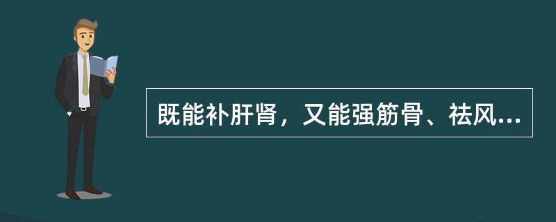 既能补肝肾，又能强筋骨、祛风湿的药物是（）