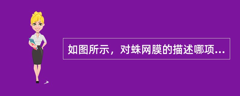 如图所示，对蛛网膜的描述哪项错误（）。