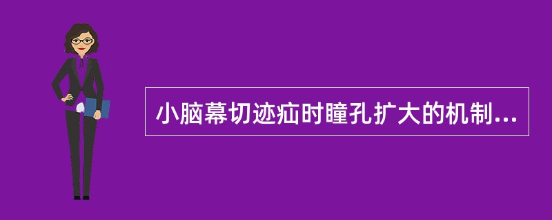小脑幕切迹疝时瞳孔扩大的机制是（）。