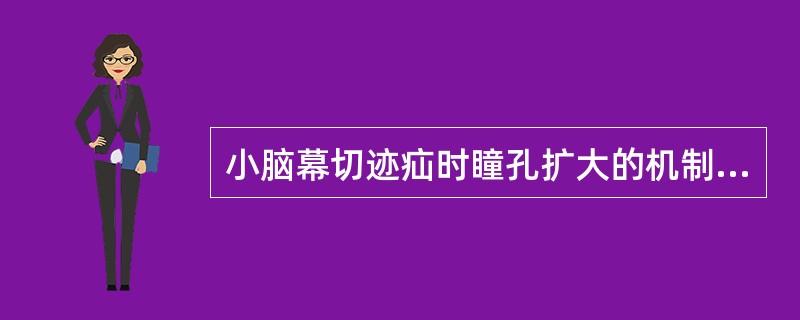 小脑幕切迹疝时瞳孔扩大的机制是（）。