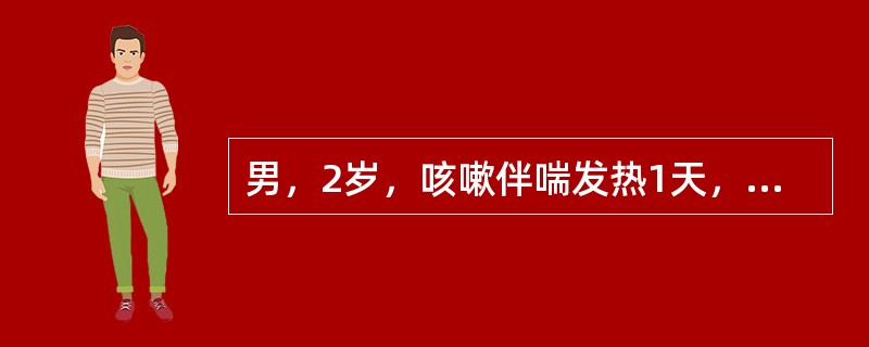 男，2岁，咳嗽伴喘发热1天，证见体温39，面色红赤，鼻煽气急，喉中痰鸣，声如拽锯