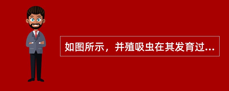 如图所示，并殖吸虫在其发育过程中需经过两个中间宿主，通常第一中间宿主为()