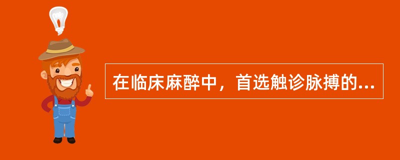 在临床麻醉中，首选触诊脉搏的动脉是（）。