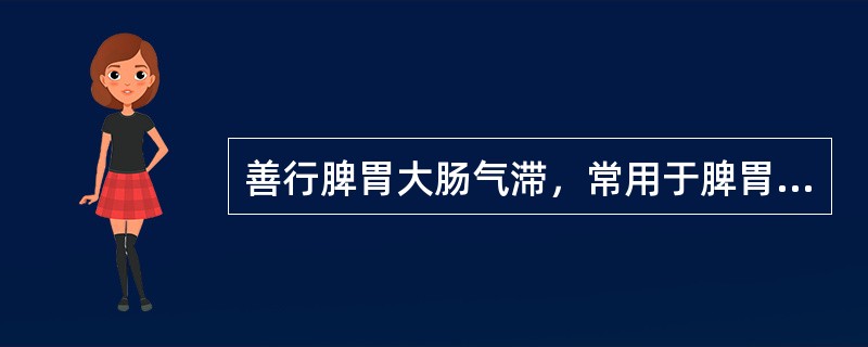 善行脾胃大肠气滞，常用于脾胃气滞之脘腹胀痛，泻痢腹痛等症的药物是（）