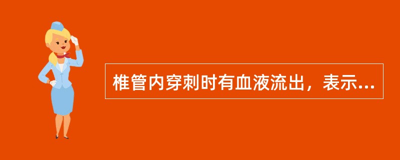 椎管内穿刺时有血液流出，表示穿刺针可能刺入哪个部位中的血管（）。