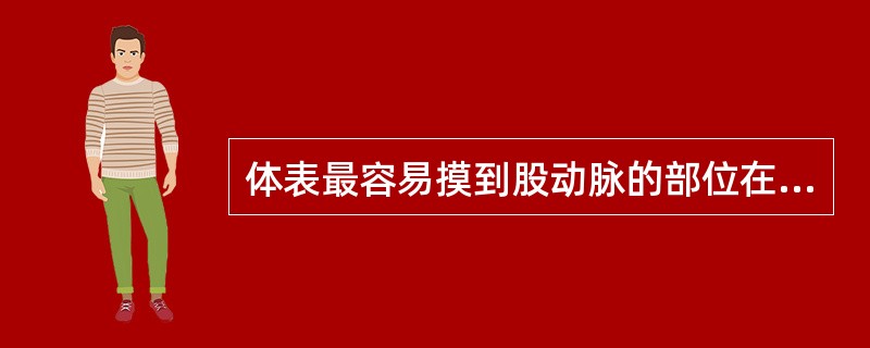 体表最容易摸到股动脉的部位在（）。