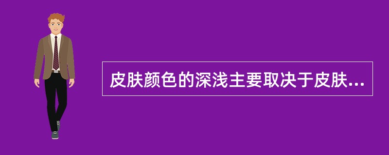 皮肤颜色的深浅主要取决于皮肤内____和____含量多少。