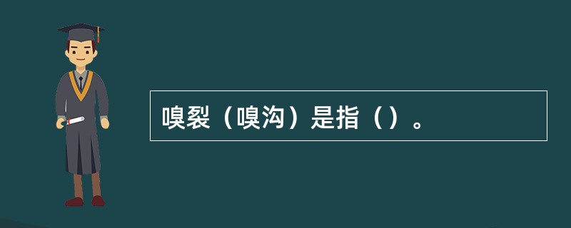 嗅裂（嗅沟）是指（）。
