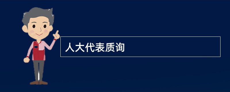 人大代表质询