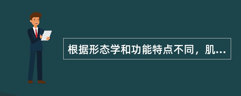 根据形态学和功能特点不同，肌肉组织可分为横纹肌、平滑肌和（）。