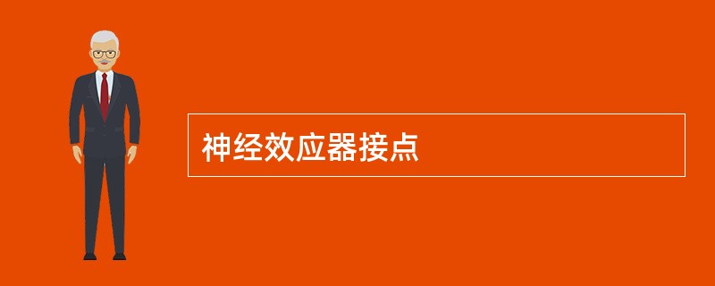 神经效应器接点