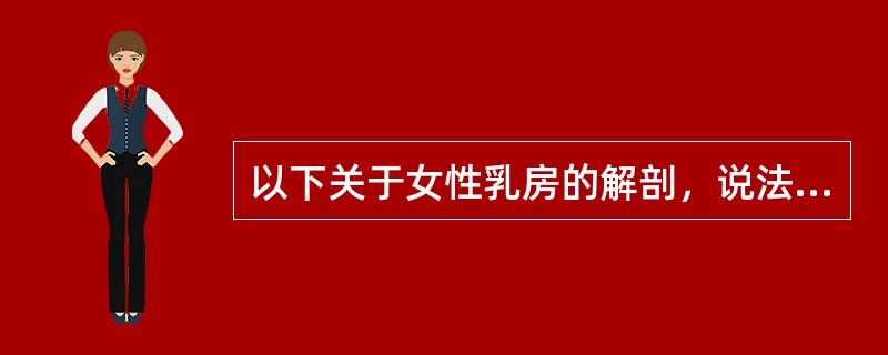 以下关于女性乳房的解剖，说法错误的是（）。