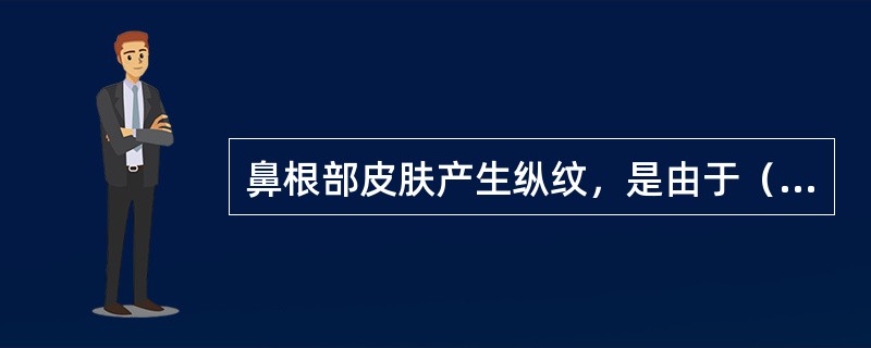 鼻根部皮肤产生纵纹，是由于（）收缩。