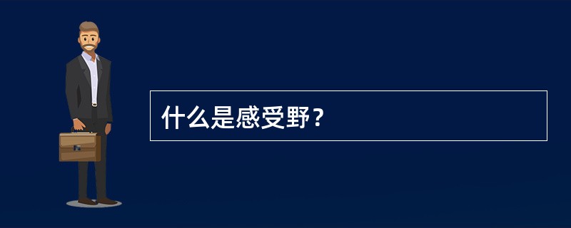 什么是感受野？