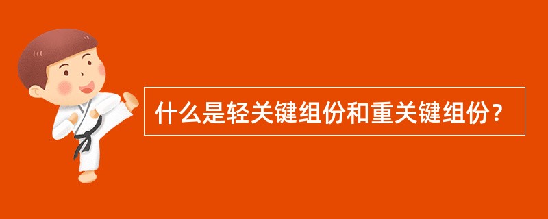 什么是轻关键组份和重关键组份？