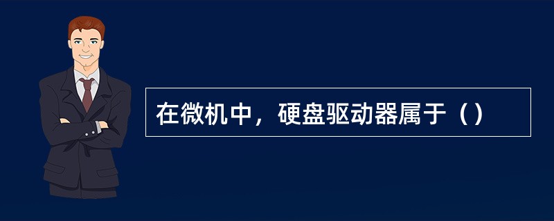 在微机中，硬盘驱动器属于（）