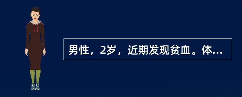 男性，2岁，近期发现贫血。体检：中度贫血貌，脾肋下3cm。实验室检查：Hb80g