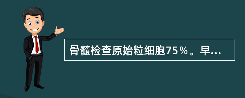 骨髓检查原始粒细胞75％。早幼粒2％，中性杆状核粒细胞3％，中性分叶核粒细胞12