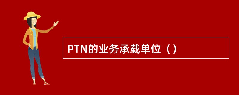 PTN的业务承载单位（）