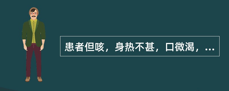 患者但咳，身热不甚，口微渴，脉浮数。治当首选（）