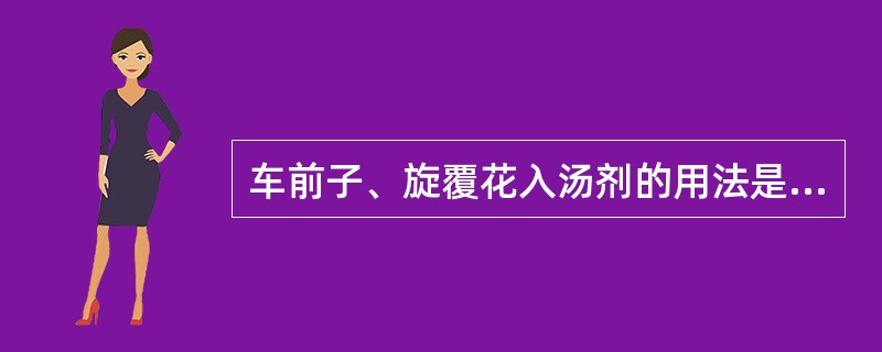 车前子、旋覆花入汤剂的用法是（）