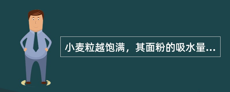 小麦粒越饱满，其面粉的吸水量越小。